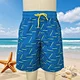 mens swim trunks,waist string,pocket,stripe,beach